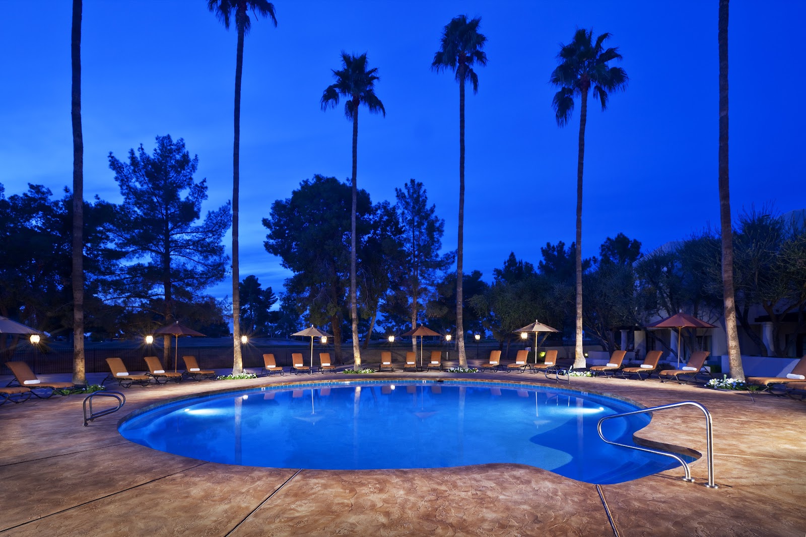AQUAVIDA POOLS — Pool Builder in Arcadia